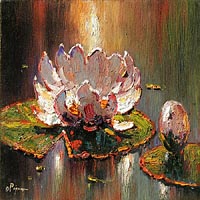 Pejman White Lily 16x16 oil